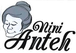 Trademark NINI ANTEH + LOGO