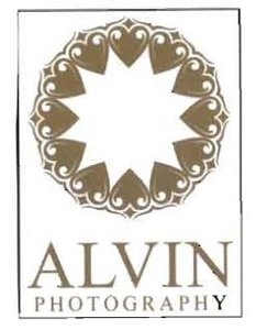 Trademark ALVIN