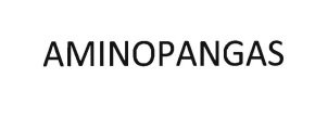 Trademark AMINOPANGAS