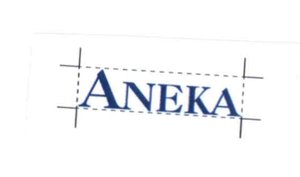 Trademark ANEKA