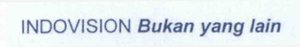 Trademark INDOVISION BUKAN YANG LAIN