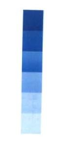 Trademark LOGO (Susunan Warna Biru)