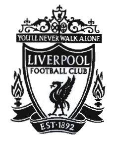 Trademark YOU'LL NEVER WALK ALONE LIVERPOOL FOOTBALL CLUB