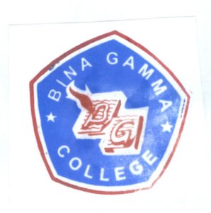 Trademark BINA GAMMA COLLEGE + LOGO