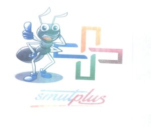 Trademark Smulplus