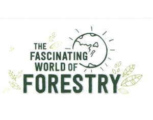 Trademark THE FASCINATING WORLD OF FORESTRY