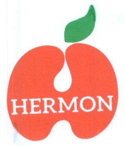 Trademark HERMON