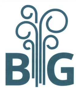 Trademark BIG + Logo