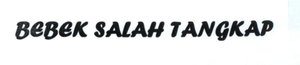 Trademark BEBEK SALAH TANGKAP