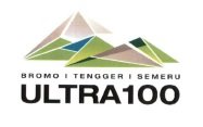 Trademark ULTRA 100