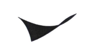 Trademark LOGO SAYAP Twisted Plane Design