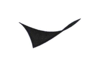 Trademark LOGO SAYAP Twisted Plane Design