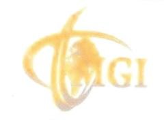 Trademark MGI & LOGO