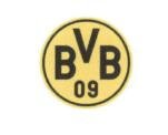 Trademark BVB 09