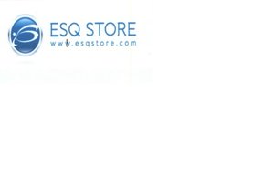 Trademark ESQ STORE