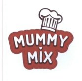 Trademark MUMMY MIX