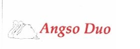 Trademark ANGSO DUO