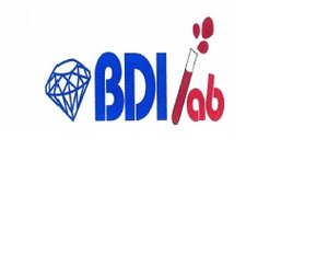 Trademark BDILAB + Logo