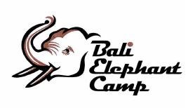 Trademark Bali Elephant Camp & Lukisan