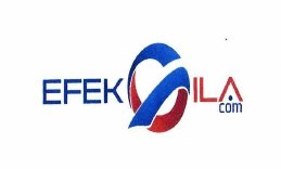 Trademark EFEK GILA COM + LOGO G