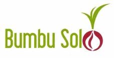 Trademark BUMBU SOLO + Logo