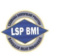 Trademark LSP BMI