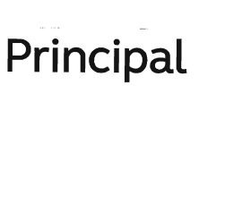 Trademark Principal