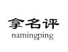 Trademark NAMINGPING