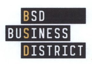 Trademark BSD BUSINESS DISTRICT