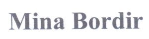 Trademark MINA BORDIR