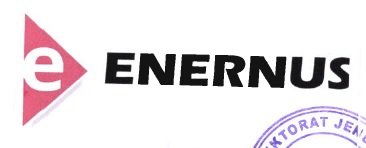 Trademark ENERNUS + LOGO