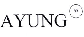 Trademark AYUNG 55