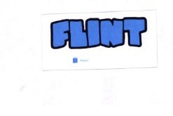 Trademark FLINT