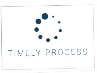 Trademark TIMELY PROCESS + LOGO