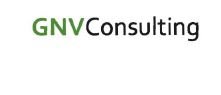 Trademark GNV CONSULTING