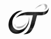 Trademark OT + LOGO