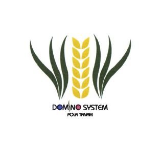 Trademark DOMINO SYSTEM + LOGO