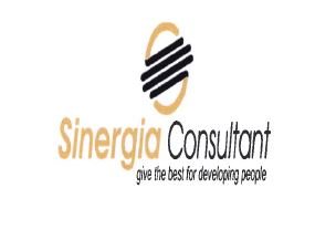 Trademark SINERGIA CONSULTANT GIVE THE BEST FOR DEVELOPING PEOPLE + LOGO