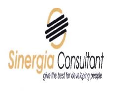 Trademark SINERGIA CONSULTANT GIVE THE BEST FOR DEVELOPING PEOLPLE + LOGO