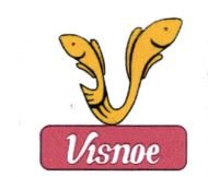 Trademark VISNOE + LOGO