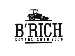 Trademark B'RICH ESTABLISHED 2016 + LOGO