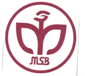 Trademark MSB + LOGO