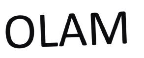 Trademark OLAM