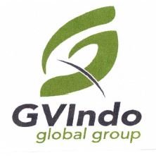 Trademark GVINDO GLOBAL GROUP + LOGO