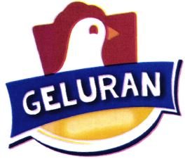 Trademark GELURAN + LOGO