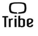 Trademark TRIBE + LOGO