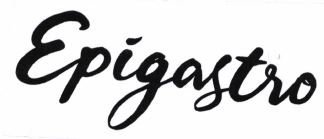 Trademark EPIGASTRO