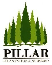 Trademark PILLAR PLANTATION & NURSERY + LUKISAN