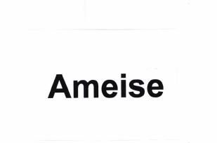 Trademark AMEISE