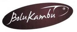 Trademark BOLUKAMBU + LOGO